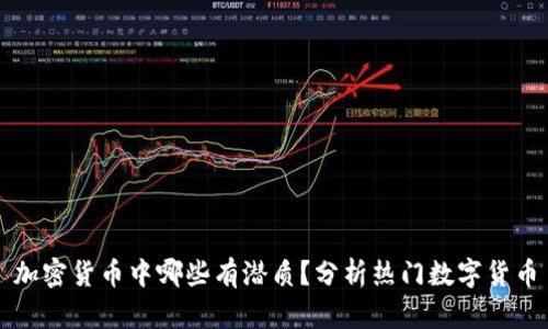 加密货币中哪些有潜质？分析热门数字货币