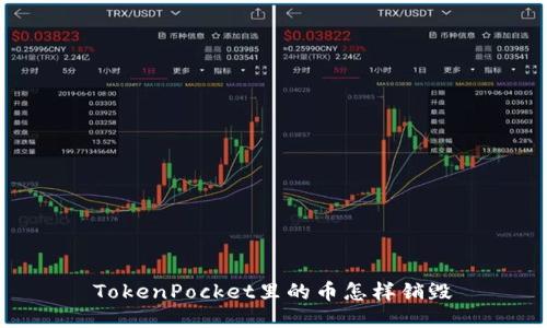 TokenPocket里的币怎样销毁