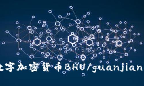 数字加密货币BHU/guanjianci