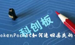 TokenPocket如何追回丢失的币