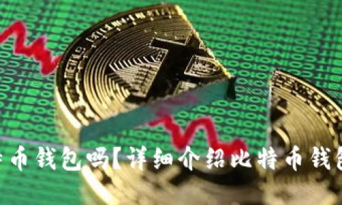 BTC钱包是比特币钱包吗？详细介绍比特币钱包及其使用方法