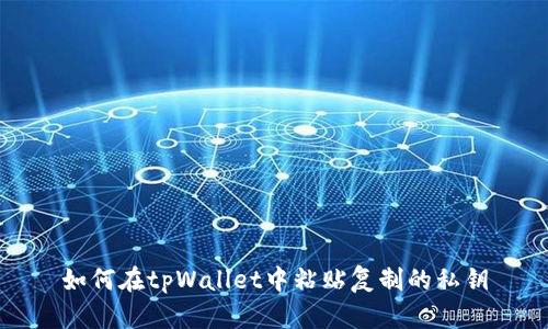 如何在tpWallet中粘贴复制的私钥