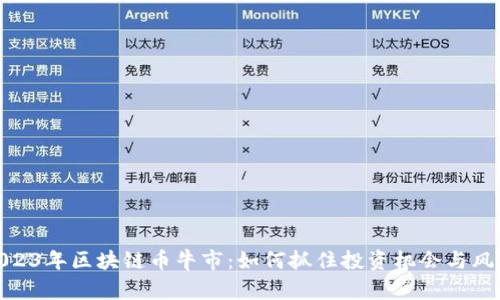 2023年区块链币牛市：如何抓住投资机会与风险