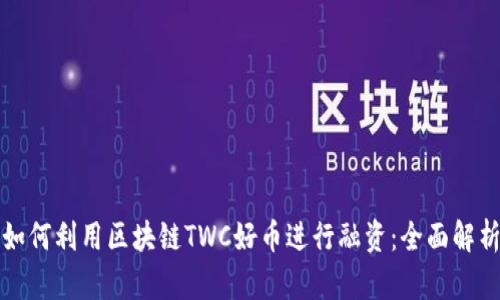 如何利用区块链TWC好币进行融资：全面解析