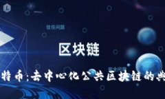 比特币：去中心化公共区块链的典范