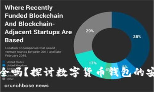 tpWallet安全吗？探讨数字货币钱包的安全性与风险