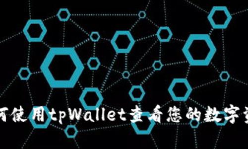 如何使用tpWallet查看您的数字资产