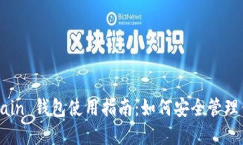 TP SmartChain 钱包使用指南：如何安全管理你的数字资产