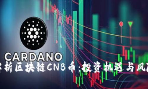 全面解析区块链CNB币：投资机遇与风险评估