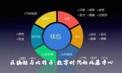 区块链与比特币：数字时代的风暴中心