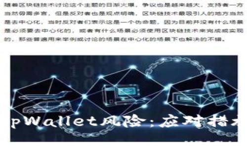 解析支付宝tpWallet风险：应对措施与用户指南