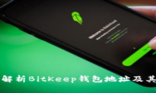 全面解析BitKeep钱包地址及其应用