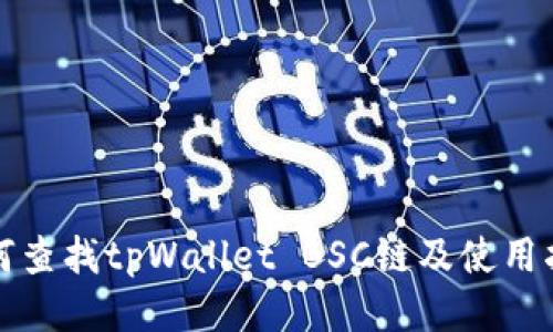 如何查找tpWallet BSC链及使用指南