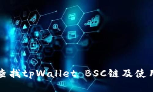 如何查找tpWallet BSC链及使用指南