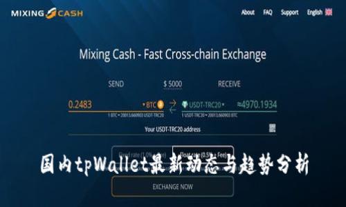 国内tpWallet最新动态与趋势分析