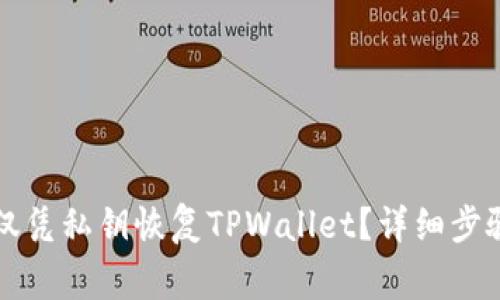 ### 如何仅凭私钥恢复TPWallet？详细步骤与注意事项