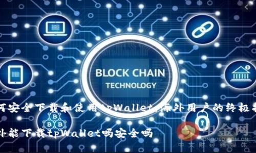 如何安全下载和使用tpWallet：海外用户的终极指南

海外能下载tpWallet吗安全吗