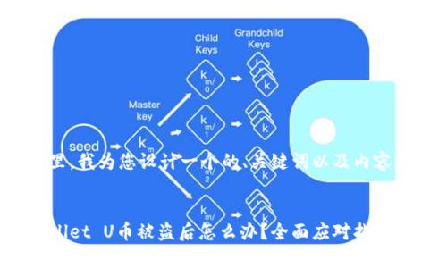 在这里，我为您设计一个的、关键词以及内容大纲。


tpWallet U币被盗后怎么办？全面应对指南