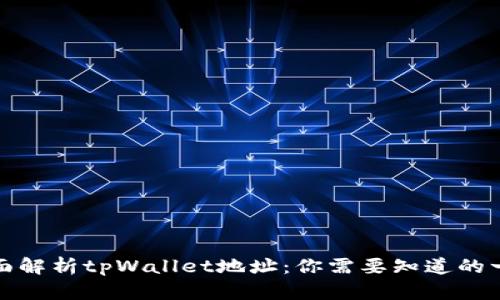 全面解析tpWallet地址：你需要知道的一切