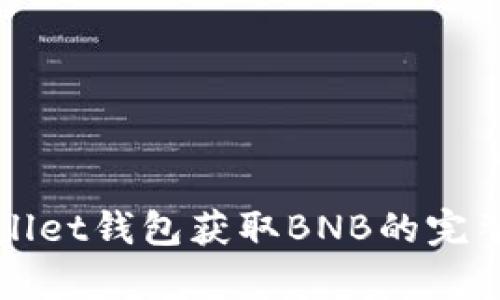 tpWallet钱包获取BNB的完整指南